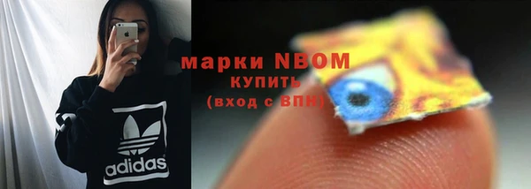 прущие грибы Вяземский